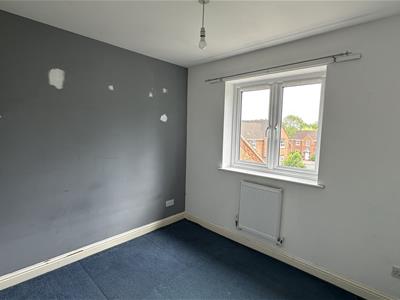 Picture 24